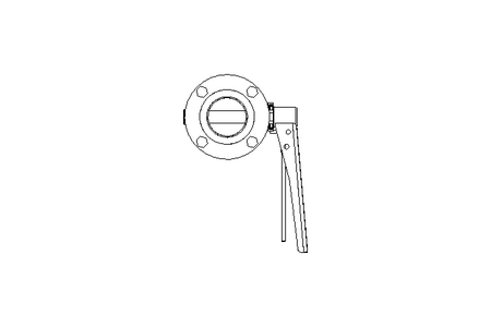 Butterfly valve B DN050 FVF MA F