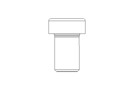 Zyl-Schraube M16x25 A2 70 DIN6912