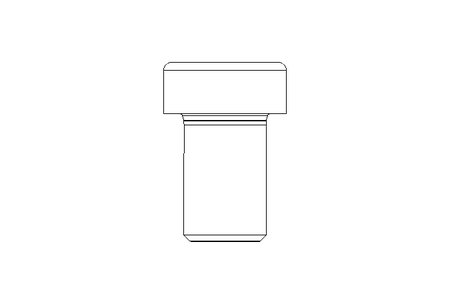 Zyl-Schraube M16x25 A2 70 DIN6912