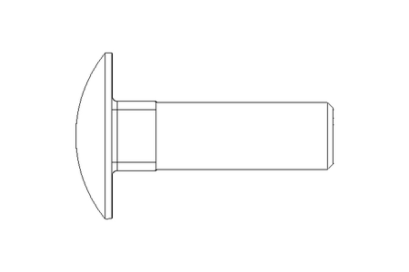 Pf cb oval r/q M12x40 A2 DIN603