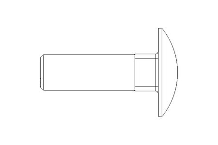 Vis à tête bombée M12x40 A2 DIN603