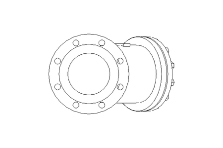 PURGEUR        PN16 DN150 GG25