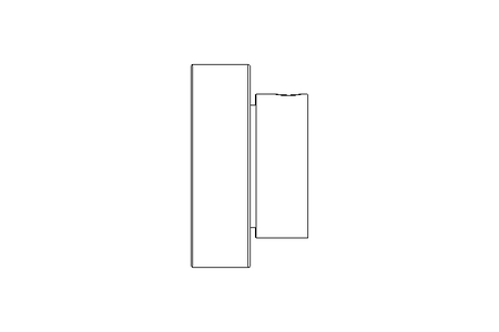 Rodamiento insertable RAE NPP 30x62x35,7