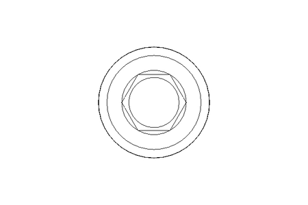 BOUCHON FILETE          1/8 Z A2 DIN 906