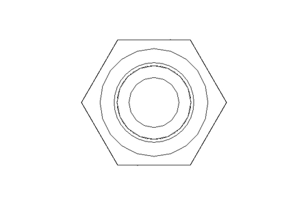 Tornillo cab. hexag. M10x170 8,8 ISO4014