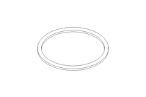 GASKET          G 80 DIN 11851