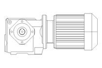 Motor engrenagem sem fim 0,25kW 199