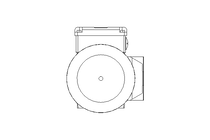 Worm gear motor 0.25kW 199 1/min