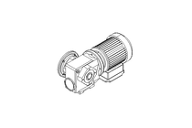 螺杆齿轮速电机 0,25kW 30 1/min