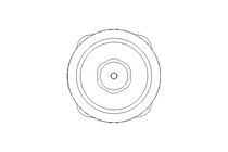 Pneumatikantrieb PTFE Membran DN25 NO