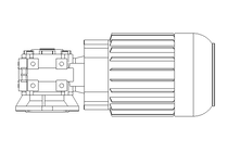 螺杆齿轮速电机 0,55kW 74 1/min