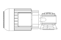 螺杆齿轮速电机 0,55kW 104 1/min