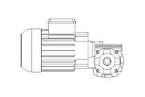 Worm gear motor 0.55kW 74 1/min