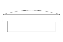 TAMPAO ROSCADO PG 16 D 46320