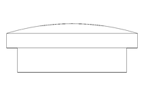 TAMPAO ROSCADO PG 16 D 46320