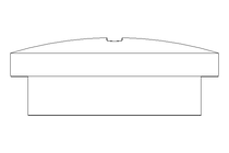 TAMPAO ROSCADO PG 16 D 46320