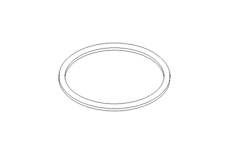 Sealing ring G DN80 EPDM DIN11851