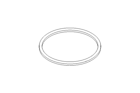 Sealing ring G DN100 EPDM DIN11851