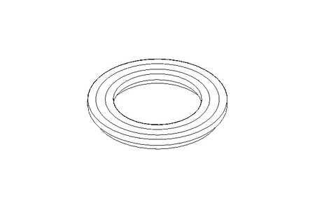 Dichtung FGN1 DN25