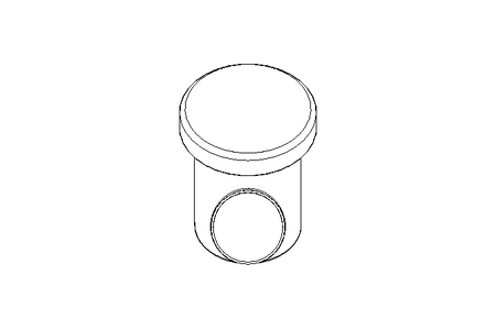 Strainer DN065 Schraegsitz 1.4404