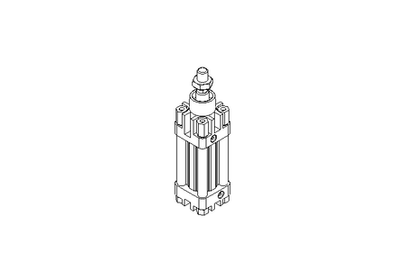 Zylinder DW 25 H 25