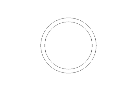 SEALING RING      210893