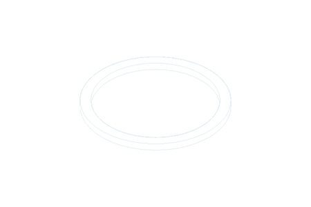 SEALING RING      210893