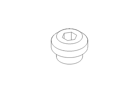 Verschlussschraube M10x1