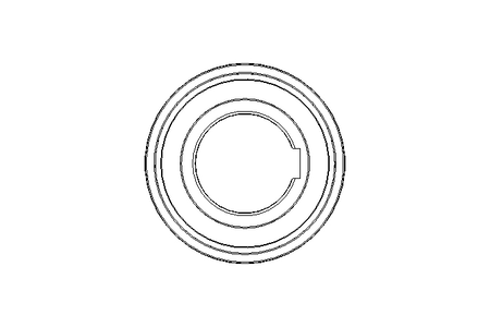 Free-wheel coaster bushing