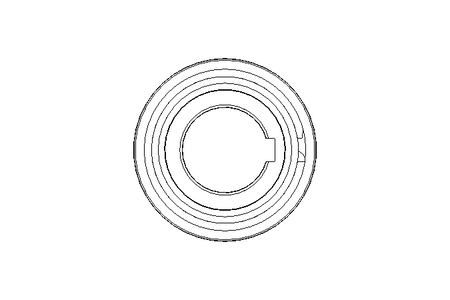 Freewheel  AS 30