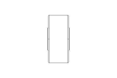 Rolo de apoio 17x47x21 PWTR 1747-2RS-RR