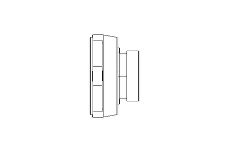 Mancal de flange RCJTZ FA125.8 60x138