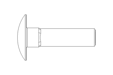 Round head screw M8x30 A2 DIN603