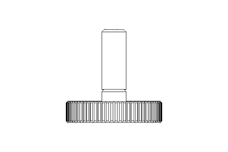 KNUR.SCREW M 4X 12  A2 DIN 653