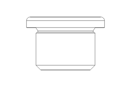 BOUCHON    R  3/8 Z A2 DIN 908