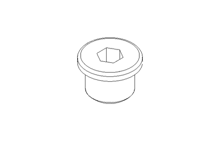 Verschlussschraube G3/8A A2 DIN 908