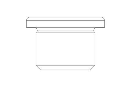 BOUCHON    R  3/8 Z A2 DIN 908