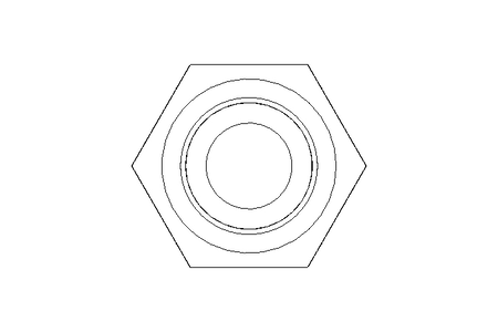 HEX.HD.SCREW  M 5 x 10 A4 DIN9