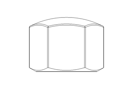 Hexagon cap nut M16 A2 DIN917