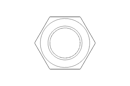 Ecrou borgne hexagonal M16 A2 DIN917