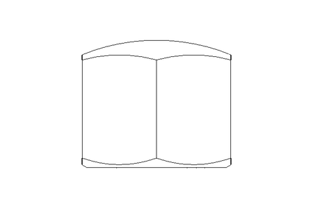 Tuerca hexagonal ciega M14x1,5 A4 DIN917