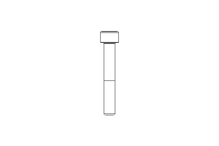 Vis cyl. M6x40 10.9 DIN912-flZn/TL/720h