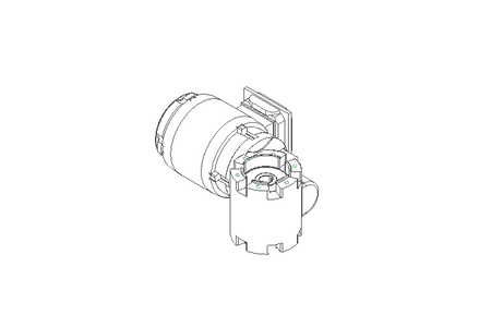 螺杆齿轮速电机 0,55kW 46 1/min