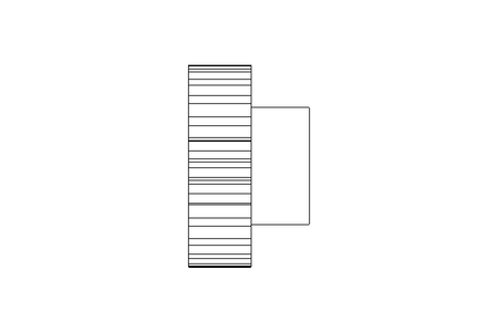 Stirnzahnrad M=2 Z=24