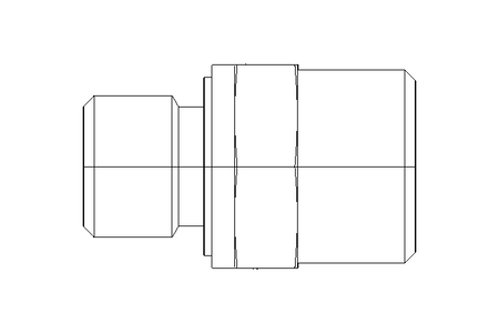 Einschraubstutzen L 12 R1/4" Niro