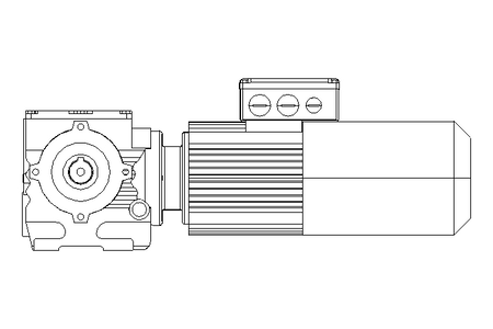 WORM GEAR MOTOR