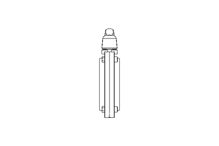 ZFA-Scheibenventil DN100 AISI316L Hand