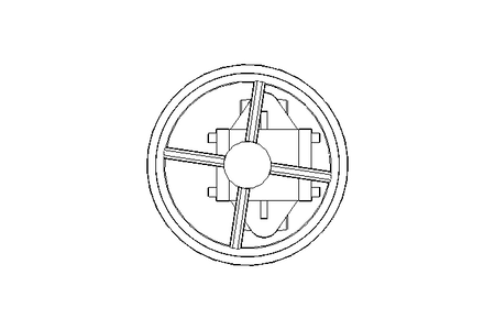 SARACINESCA/SPINGITOIO