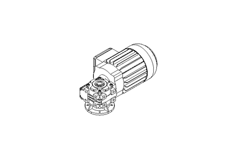 螺杆齿轮速电机 0,55kW 140 1/min