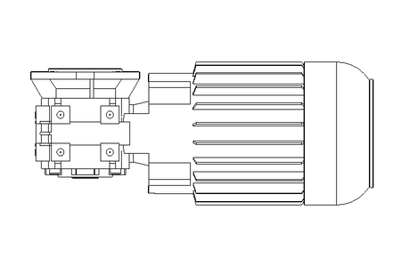 Worm gear motor 0.55kW 74 1/min